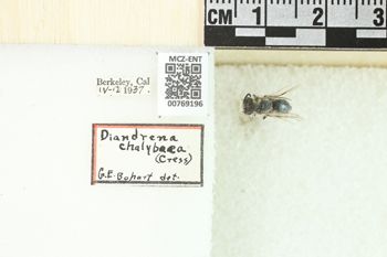 Media type: image;   Entomology 769196 Aspect: Labels